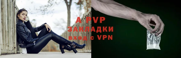 стаф Белокуриха