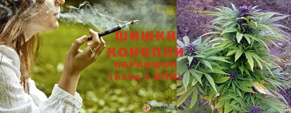 стаф Белокуриха