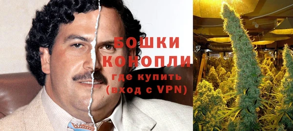 стаф Белокуриха