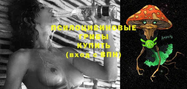 стаф Белокуриха