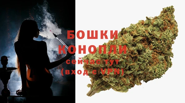 стаф Белокуриха