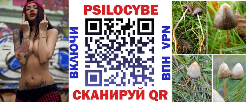 наркотики  Волосово  Галлюциногенные грибы Psilocybe 